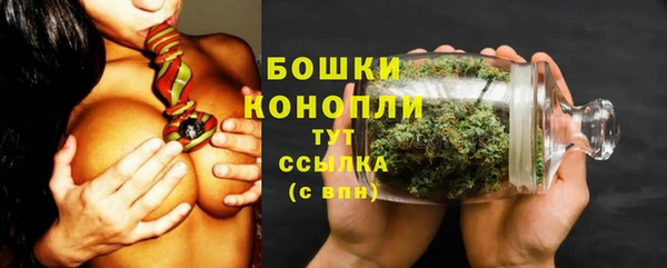 прущая мука Верея