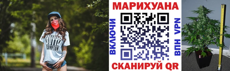Бошки марихуана планчик Ростов